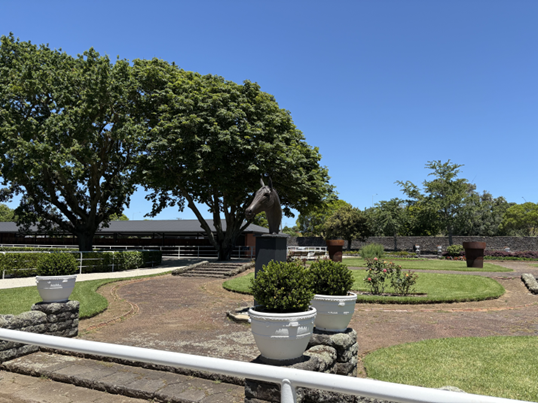 Pegasus Grounds